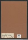 Ceratoneis arcus et var.? amphioxys (Rabh.) (de-Toni-Nr.: Genus 107, Species 3270) Zeichnungen Sammlung Grunow Mappe 03493 (Herbarium_W_Grunow_drawings_Folder_03493)